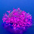 Гирлянда Сакура роз. с контроллером светодиодная 7 м 50 светодиодов розов. свет провод прозрачный