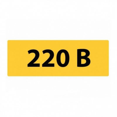 Символ 220В (20х40) мм